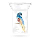 Pupa Milano - Pupa Parrot Rio | MazenOnline