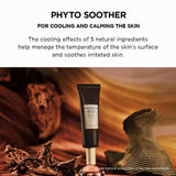 Probio-Cica Glow Sun Ampoule-SKIN1004