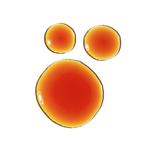 Pycnogenol 5% - MazenOnline