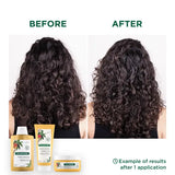 Nourishing Conditioner with Mango Butter - Dry Hair - MazenOnline