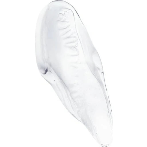 chroma absolu gloss