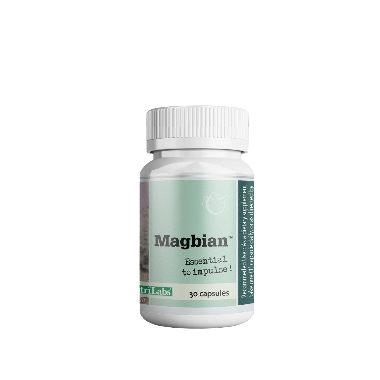 magnesium and b6 vitamin