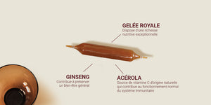 Nectar Royal Gel Royale 500mg + Ginseng + acerola - MazenOnline