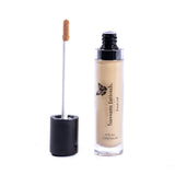 makeup looks bassam Concealer Fits All