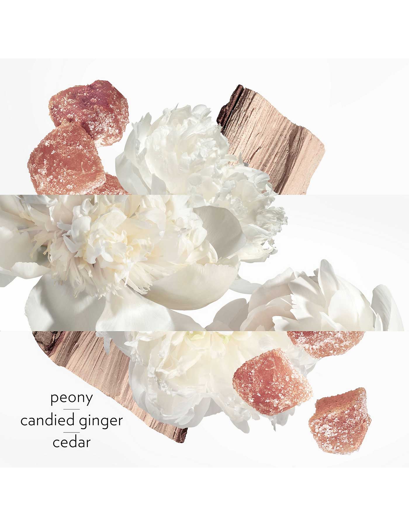 Twilly Eau Ginger Eau de Parfum - MazenOnline