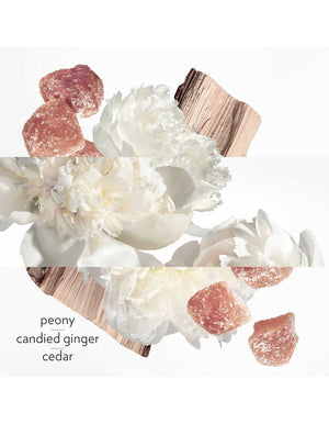 Twilly Eau Ginger Eau de Parfum - MazenOnline