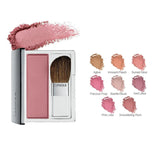 clinique foundation powder blush