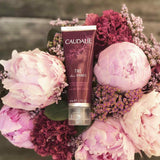 Thé des Vignes Hand and Nail Cream - MazenOnline