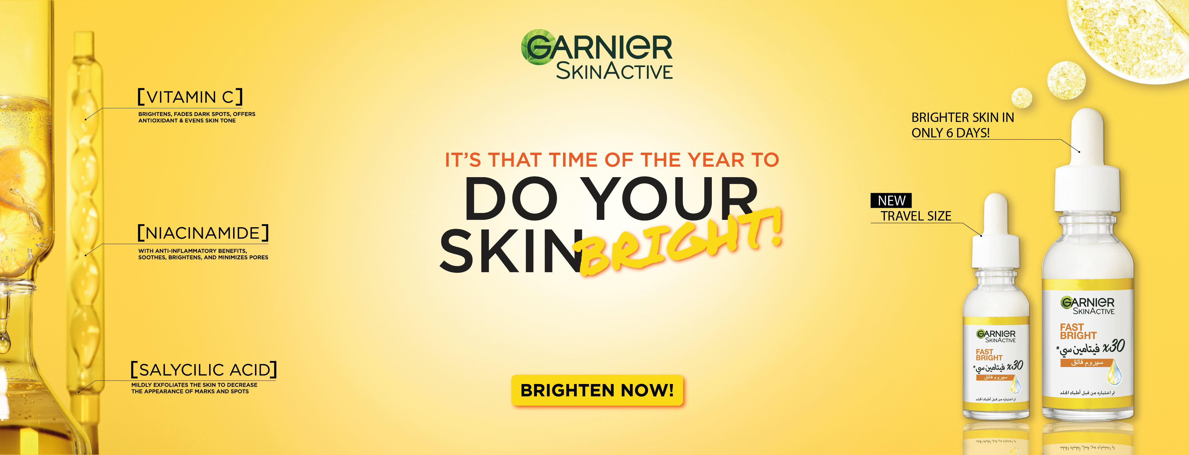 Garnier Skinactive Bundles