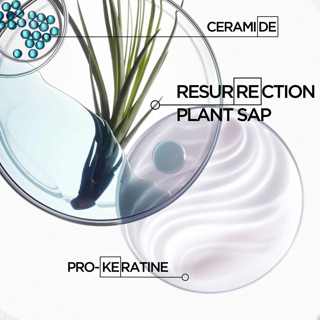 Kérastase - Bain Force Architecte Shampoo | MazenOnline