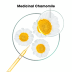 Klorane Chamomile Shampoo 200ml  + Klorane Organic Chamomile Spray + Towel