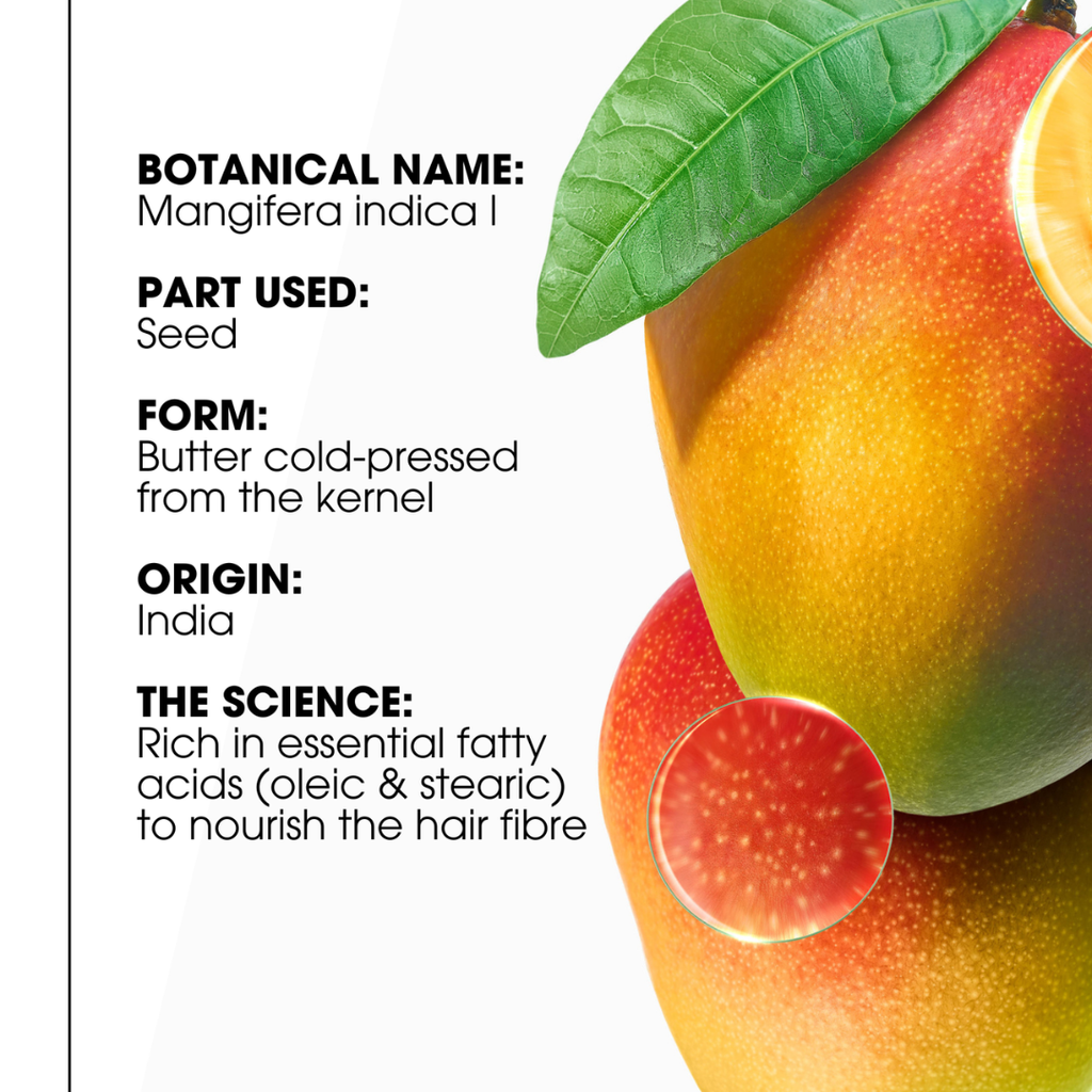 Klorane Mango Shampoo 200ml + Klorane Mango Oil + Towel