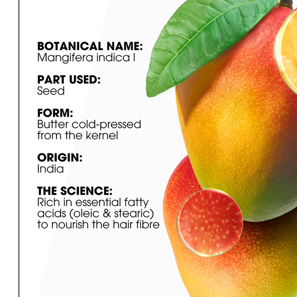 Klorane Mango Shampoo 200ml + Klorane Mango Oil + Towel