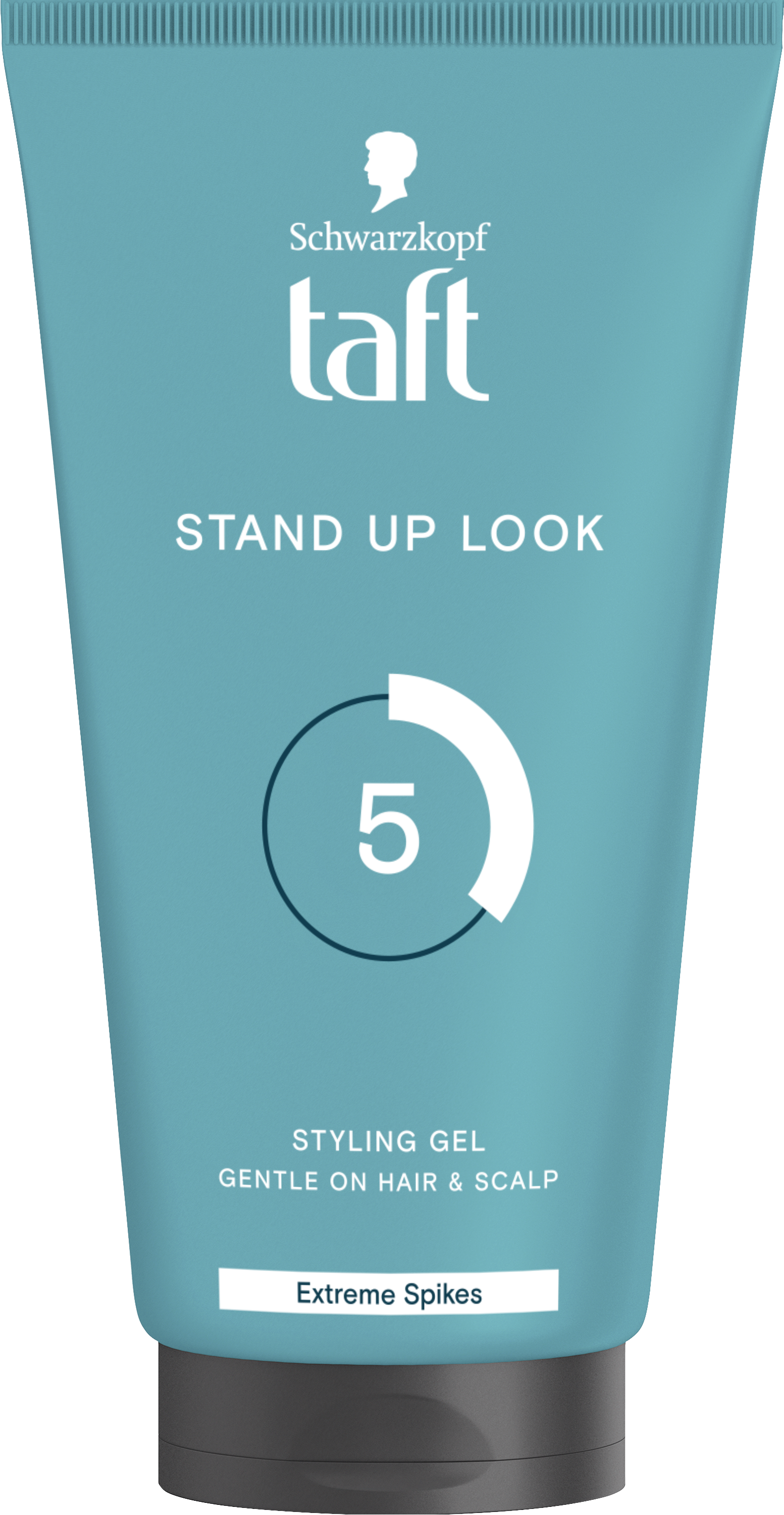 Taft Looks Stand Up Look Power Gel Mega Hold 5
