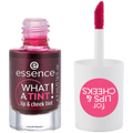 What A Tint! Lip & Cheek Tint - MazenOnline