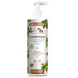 Shampoo Oil 500Ml - MazenOnline