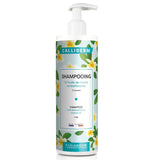 Shampoo Oil 500Ml - MazenOnline