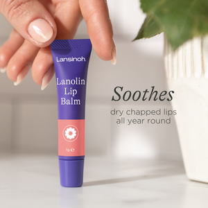 Lansinoh - Lanolin Lip Balm | MazenOnline