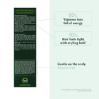 Buy Two Get One Rene Furterer Forticea Eenergizing Shampoo 200ml