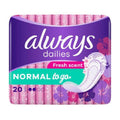 EVERYDAY NORM SCENT X20 - MazenOnline