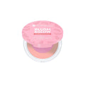 Blush & Glow Powder - MazenOnline