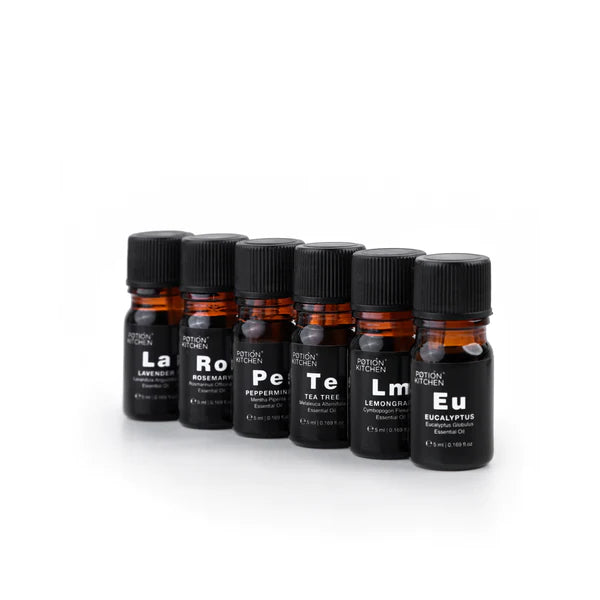 Essentials Kit - MazenOnline