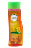 Body Envy Shampoo - MazenOnline