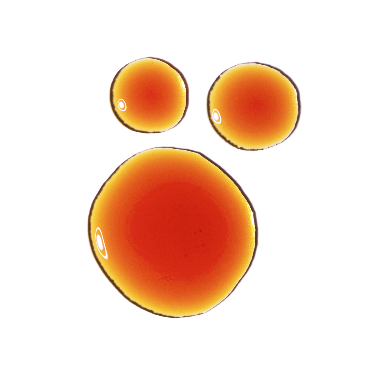 Pycnogenol 5% - MazenOnline