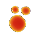 Pycnogenol 5% - MazenOnline