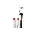 buy 2 blush stickes and get the do it all brush for free