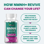 Medic & Science NMNH Revive – Dual NAD+ Precursor Supplement for Longevity