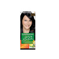 Garnier Hair Color 