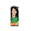 Garnier Hair Color 