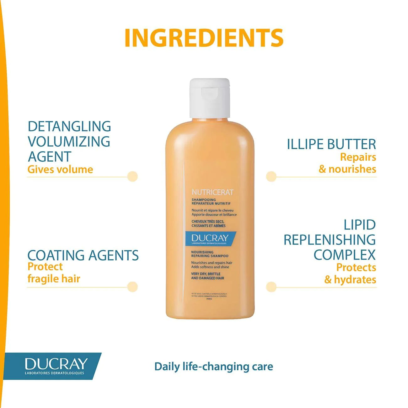 Nutricerat Intense-Nutrition Shampoo 200ML - MazenOnline