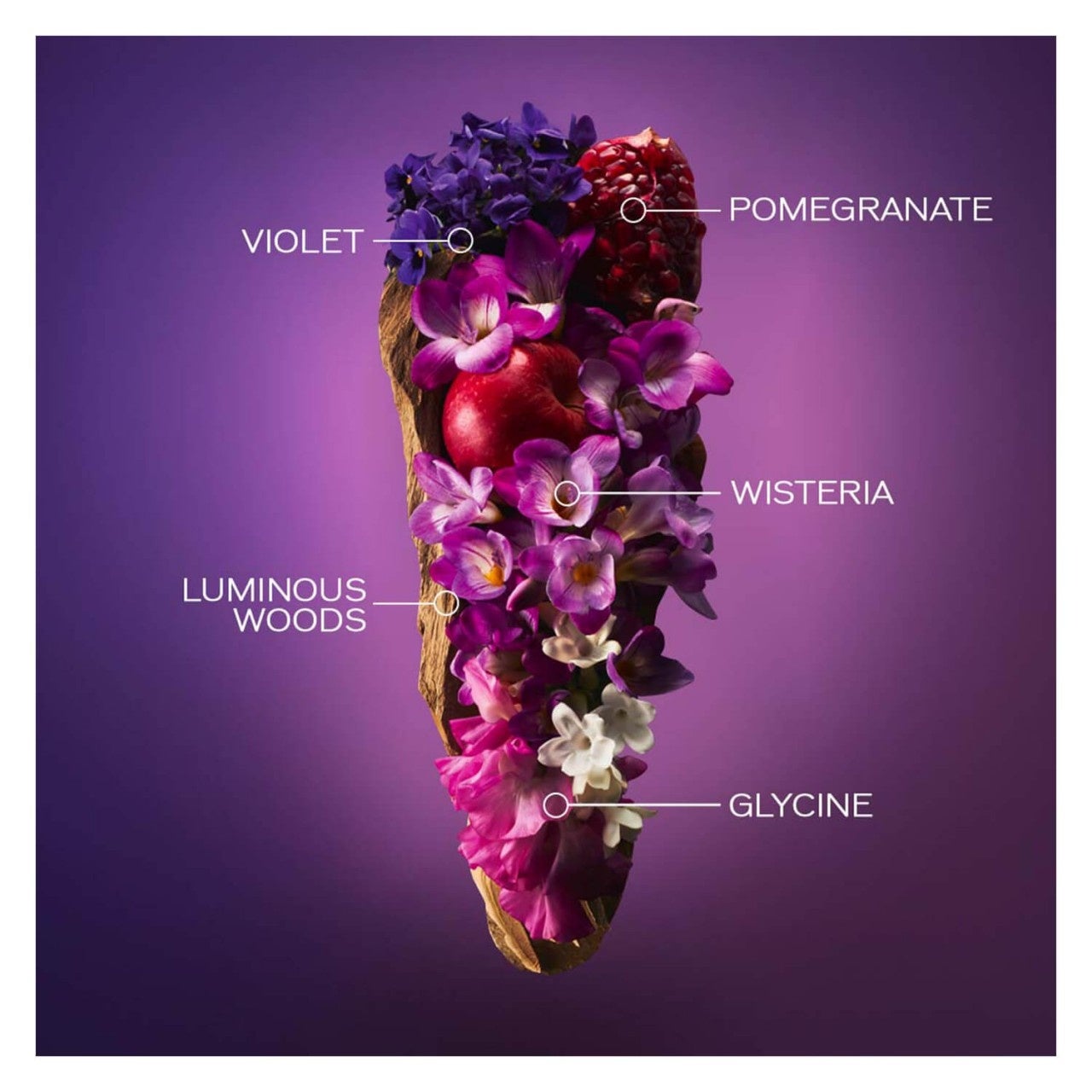 Ginza Murasaki Eau De Parfum - MazenOnline