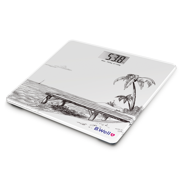 Electronic Personal Scale