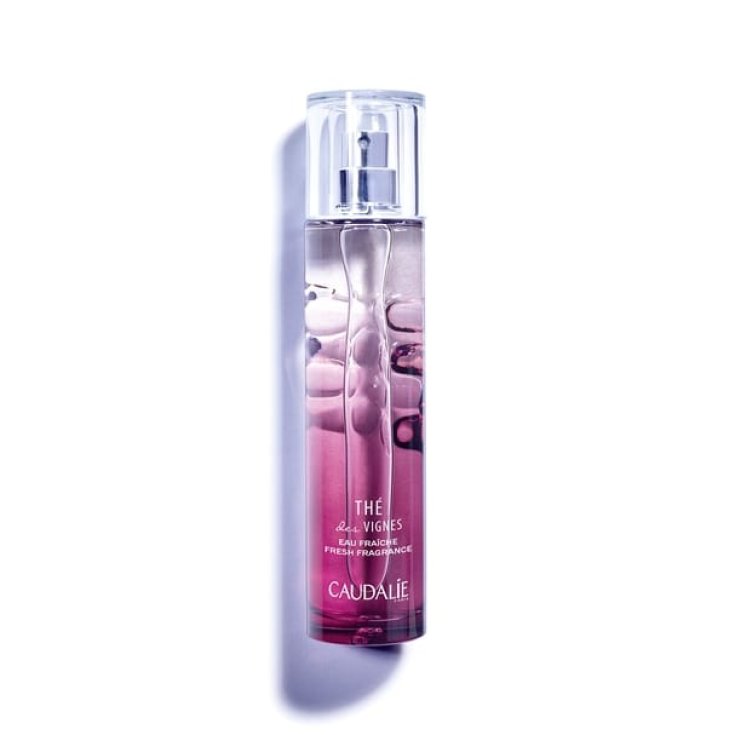 Fresh Fragrance Thé des Vignes - MazenOnline Main image