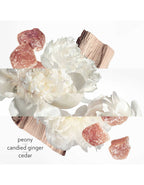 Twilly Eau Ginger Eau de Parfum - MazenOnline