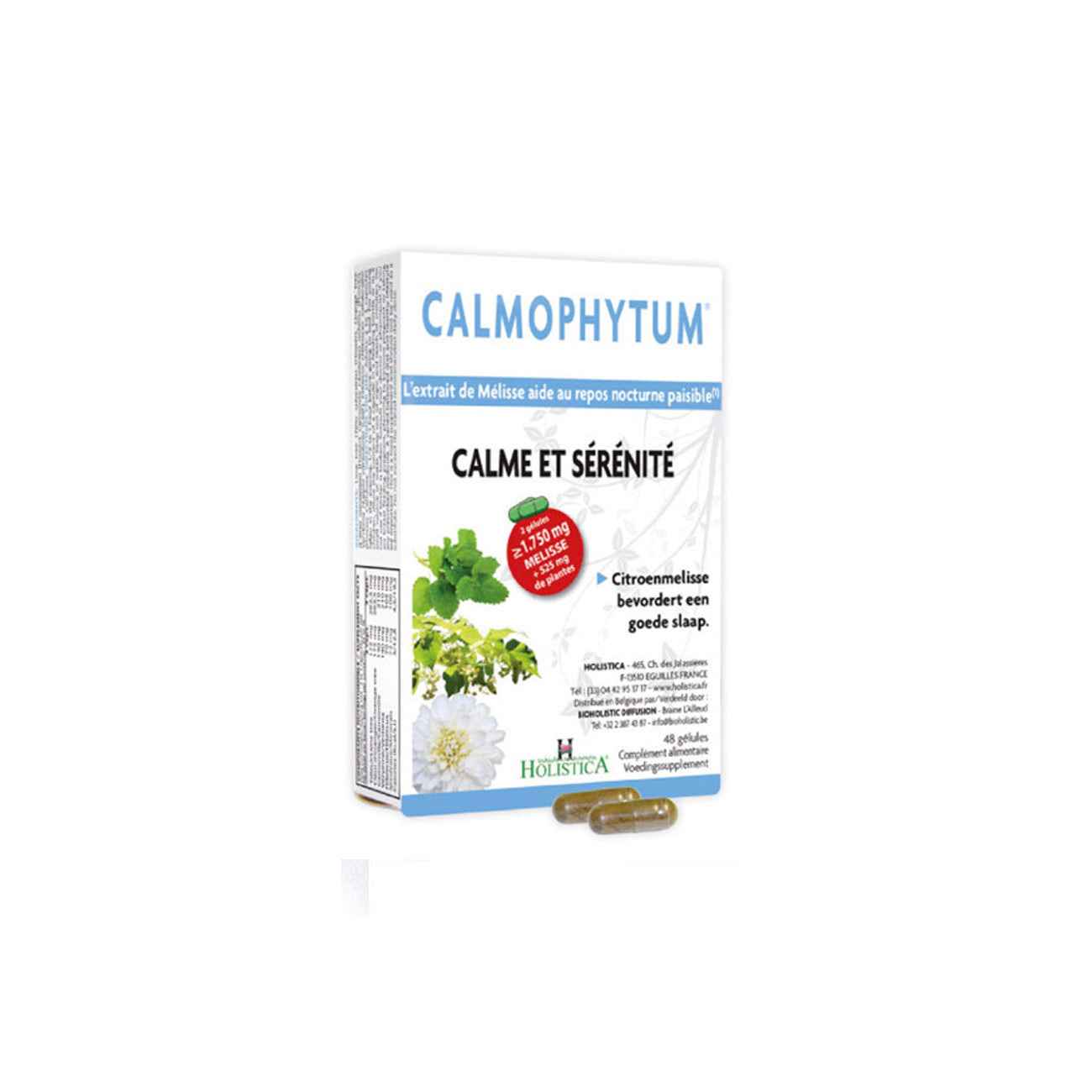Calmophytum - MazenOnline Main image