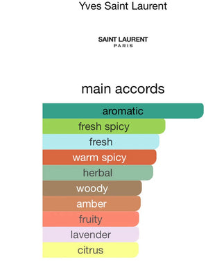 Y Le Parfum - MazenOnline