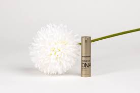 Radiance DNA Eye Contour - Redensifying Solution - MazenOnline